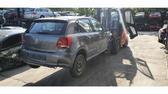Volkswagen Polo Polo V (6R), Hatchback, 2009 / 2017 1.2 12V BlueMotion Technology picture 4