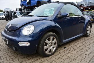 Volkswagen Beetle cabrio picture 2