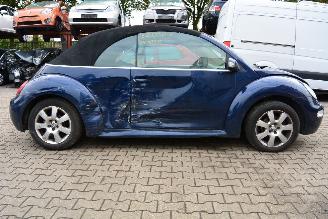 Volkswagen Beetle cabrio picture 8