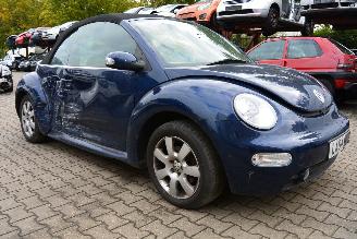 Volkswagen Beetle cabrio picture 3