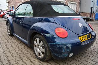 Volkswagen Beetle cabrio picture 5
