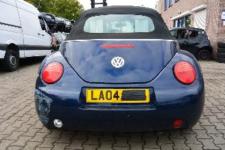 Volkswagen Beetle cabrio picture 6