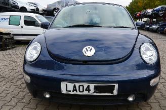 Volkswagen Beetle cabrio picture 1
