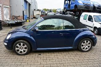 Volkswagen Beetle cabrio picture 4