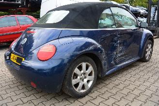 Volkswagen Beetle cabrio picture 7