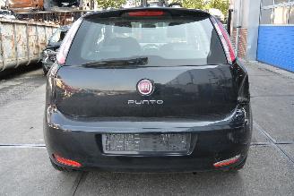 Fiat Punto  picture 5