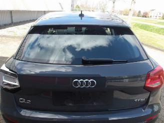 Audi Q2  picture 16