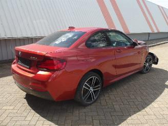 BMW 2-serie  picture 9