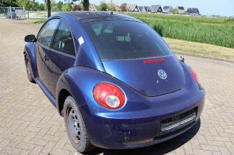 Volkswagen New-beetle New Beetle (9C1/9G1), Hatchback 3-drs, 1998 / 2010 1.8 20V Turbo picture 12