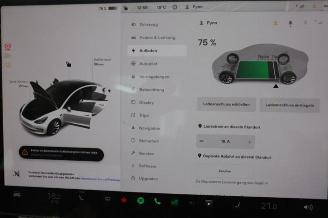 Tesla Model 3 Model 3, Sedan, 2017 Long Range, Performance AWD picture 24