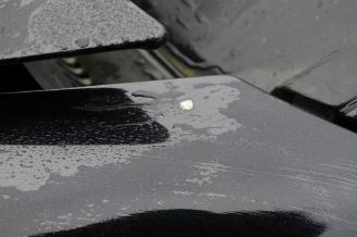 Porsche Panamera Panamera (971G), Liftback, 2016 / 2023 3.0 V6 24V 4 picture 35