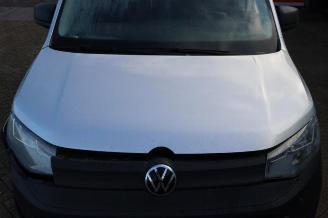 Volkswagen Caddy Caddy Cargo V (SBA/SBH), Van, 2020 2.0 TDI BlueMotionTechnology picture 10