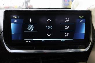 Peugeot 2008 2008 (UD/UK/UR/US/UX), MPV, 2019 e-2008 50 kWh picture 11