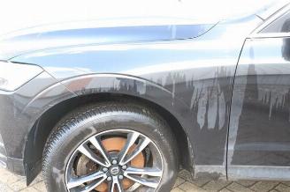 Volvo Xc-60 XC60 II (UZ), SUV, 2017 2.0 B4 16V Mild Hybrid AWD picture 29