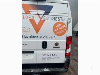 Fiat Ducato Ducato (250), Bus, 2006 2.3 D 130 Multijet Minibus Extralongo picture 22