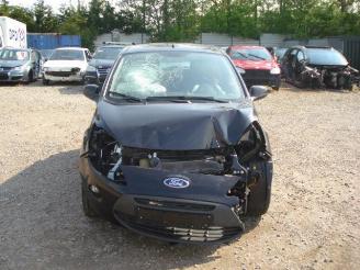 Ford Ka  picture 2