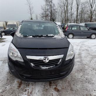 Opel Meriva  picture 2