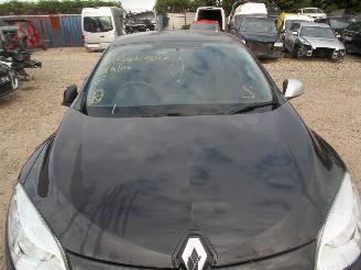 Renault Mégane  picture 11
