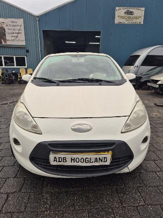 Sloopauto Ford Ka II 1.2 Hatchback, Benzine, 1.242cc, 51kW (69pk), FWD, 169A4000; EURO4, 5-BAK 2009/1