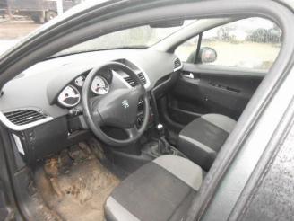 Peugeot 207 1.6hdi 2010 picture 5