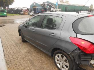 Peugeot 308 1.6hdi picture 2