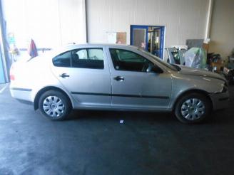 Skoda Octavia 1.9 TDI picture 2