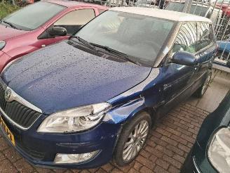 Uttjänta bilar auto Skoda Fabia Fabia II (5J), Hatchback 5-drs, 2006 / 2014 1.2 TSI 2010/5