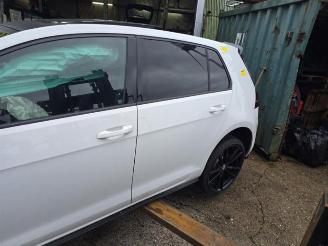 Volkswagen Golf Golf VII (AUA), Hatchback, 2012 / 2021 2.0 GTI 16V Performance Package picture 13