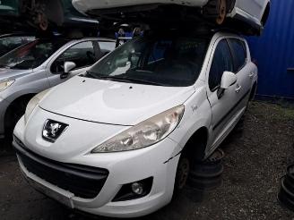 Peugeot 207 207 SW (WE/WU), Combi, 2007 / 2013 1.4 picture 2