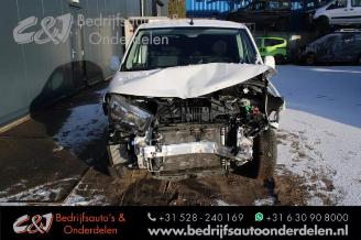 Opel Combo Combo Cargo, Van, 2018 1.6 CDTI 100 picture 9