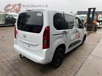 Opel Combo Combo Cargo, Van, 2018 1.5 CDTI 100 picture 6