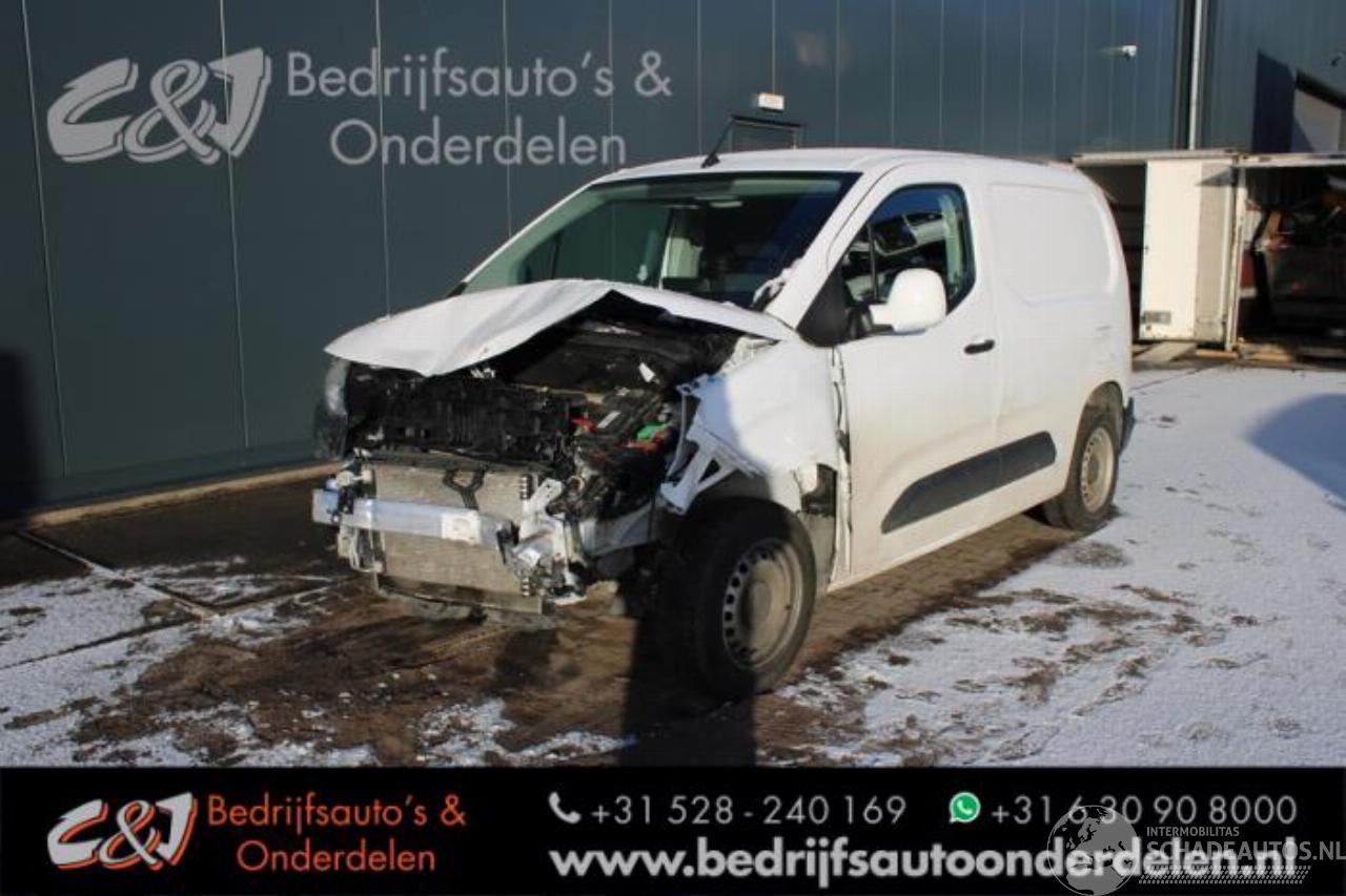 Opel Combo Combo Cargo, Van, 2018 1.6 CDTI 100