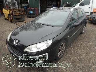 Peugeot 407 407 SW (6E) Combi 2.0 HDiF 16V (DW10BTED4(RHR)) [100kW]  (07-2004/12-2=
010) picture 1