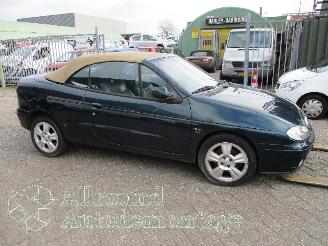 Renault Mégane Megane (EA) Cabrio 1.6 16V Sport (K4M-701) [79kW]  (03-1999/07-2003) picture 7