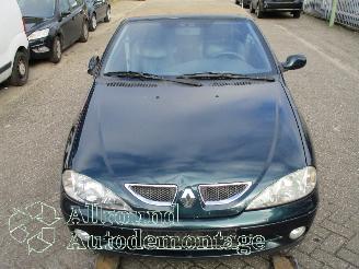 Renault Mégane Megane (EA) Cabrio 1.6 16V Sport (K4M-701) [79kW]  (03-1999/07-2003) picture 15