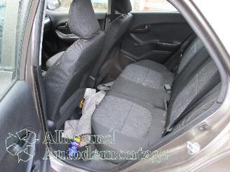 Kia Picanto Picanto (TA) Hatchback 1.0 12V (G3LA) [49kW]  (05-2011/06-2017) picture 11