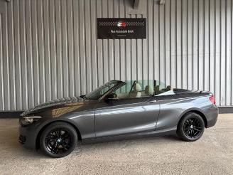 BMW 2-serie 0d Advantage Cabriolet LED / Navigation picture 2