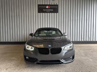 BMW 2-serie 0d Advantage Cabriolet LED / Navigation picture 11