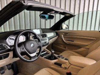 BMW 2-serie 0d Advantage Cabriolet LED / Navigation picture 12