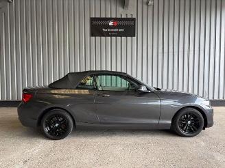 BMW 2-serie 0d Advantage Cabriolet LED / Navigation picture 8