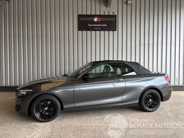 BMW 2-serie 0d Advantage Cabriolet LED / Navigation
