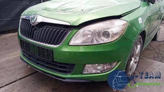 Skoda Fabia Fabia II Combi, Combi 5-drs, 2007 / 2015 1.2 TDI 12V Greenline picture 12