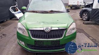 Skoda Fabia Fabia II Combi, Combi 5-drs, 2007 / 2015 1.2 TDI 12V Greenline picture 6