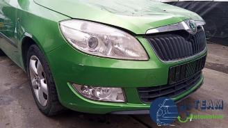 Skoda Fabia Fabia II Combi, Combi 5-drs, 2007 / 2015 1.2 TDI 12V Greenline picture 11