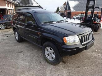 Jeep Grand-cherokee  picture 6