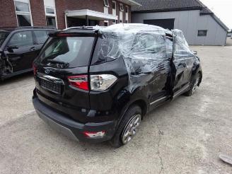 Ford EcoSport  picture 5