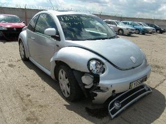 Volkswagen Beetle v5 picture 2