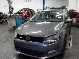 Volkswagen Polo Polo (6R) Hatchback 1.6 TDI 16V 90 (CAYB) [66kW]  (06-2009/05-2014) picture 1