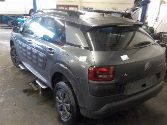 Citroën C4 C4 Cactus (0B/0P) Hatchback 5-drs 1.6 Blue Hdi 100 (DV6FD(BHY)) [73kW]=
  (09-2014/...) picture 3