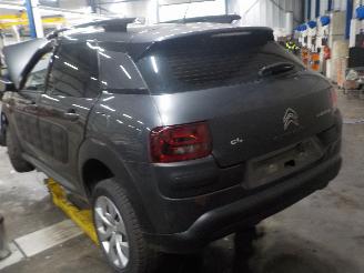 Citroën C4 C4 Cactus (0B/0P) Hatchback 5-drs 1.2 PureTech 82 12V (EB2F(HMZ)) [60k=
W]  (09-2014/...) picture 4